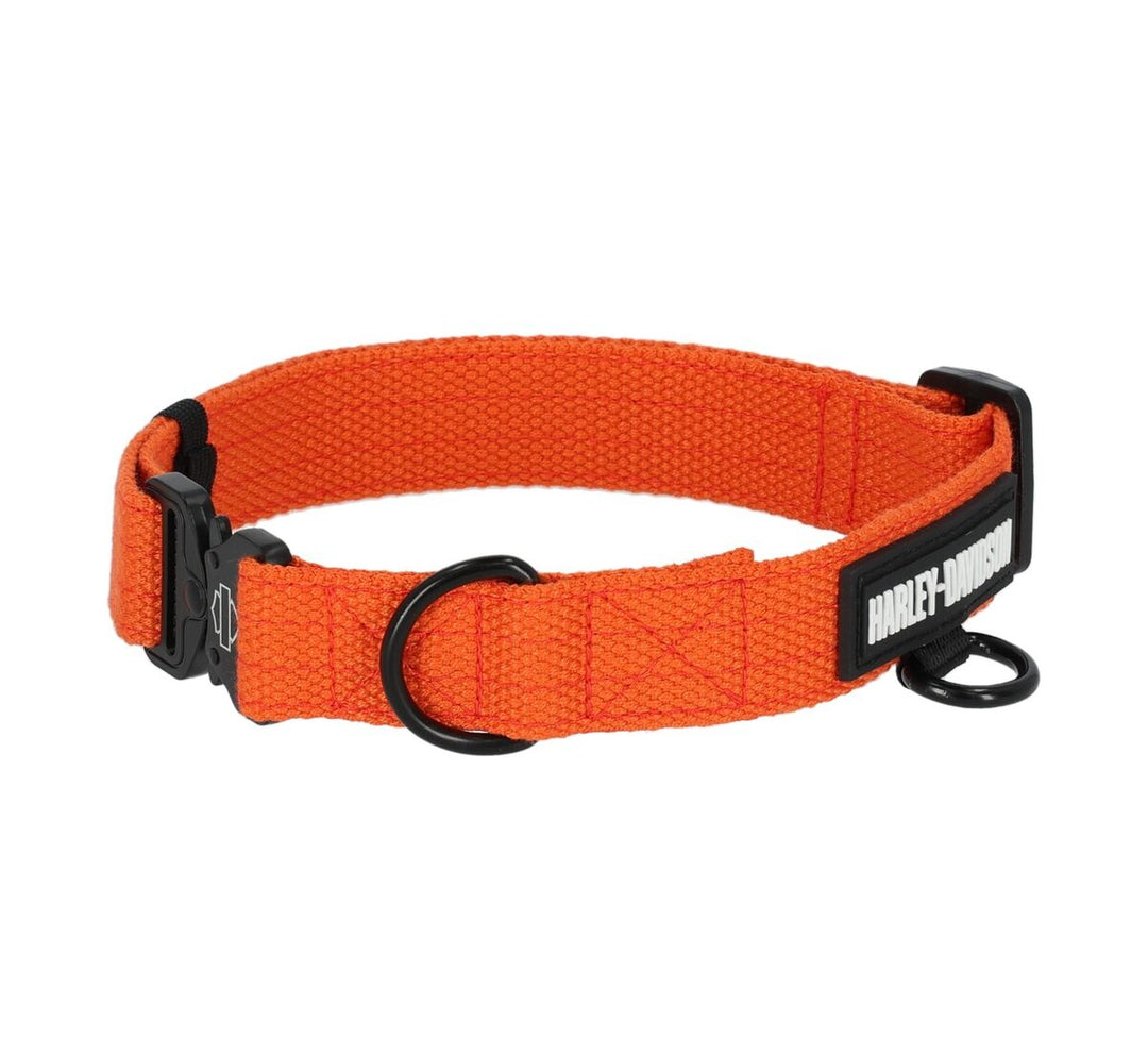 Harley dog collar best sale